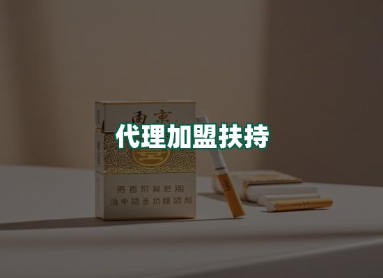 核心优势